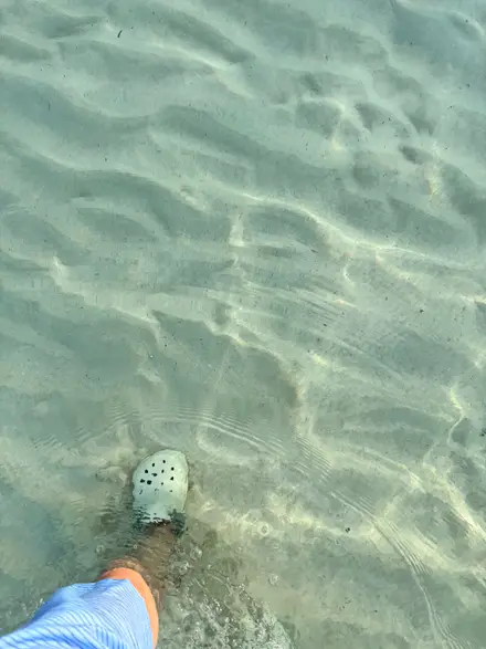 Toes in the water
