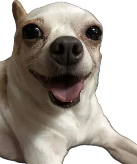 Zoe